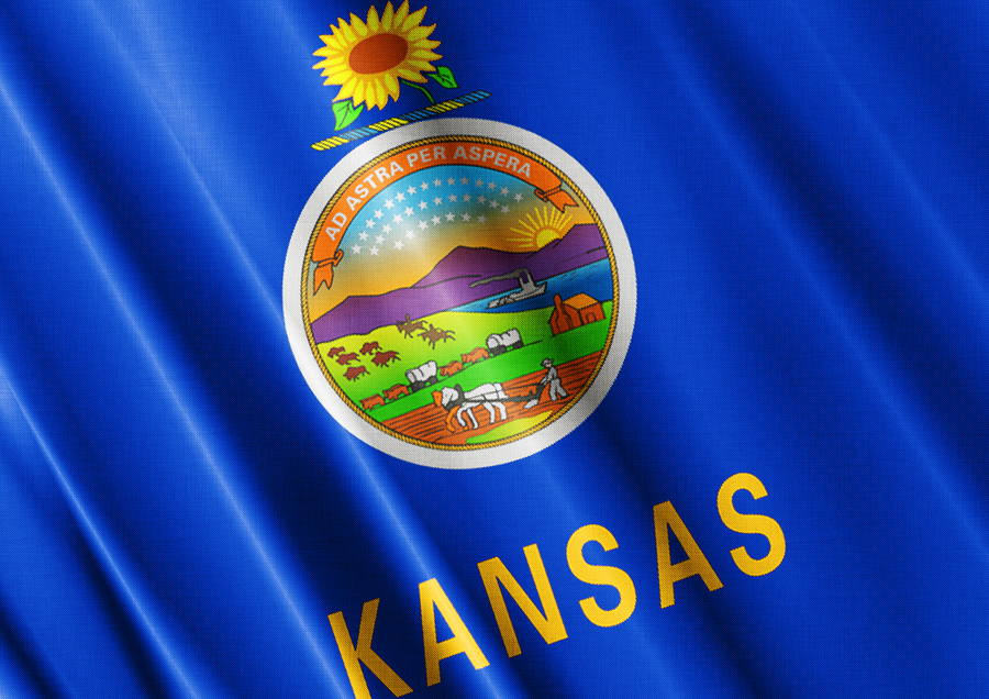 Kansas State Flag