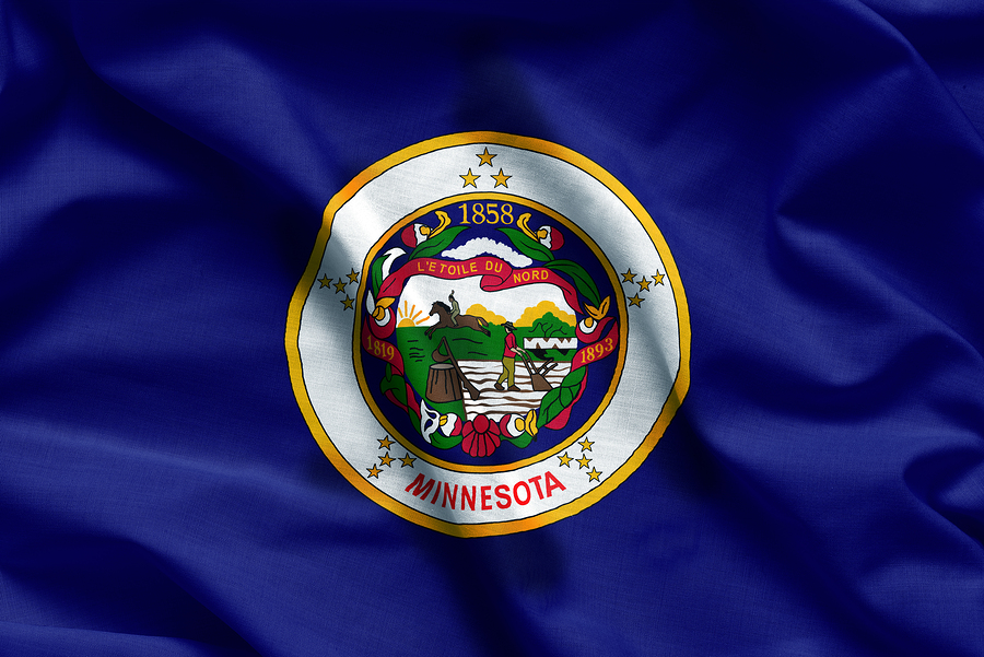 Minnesota State Flag