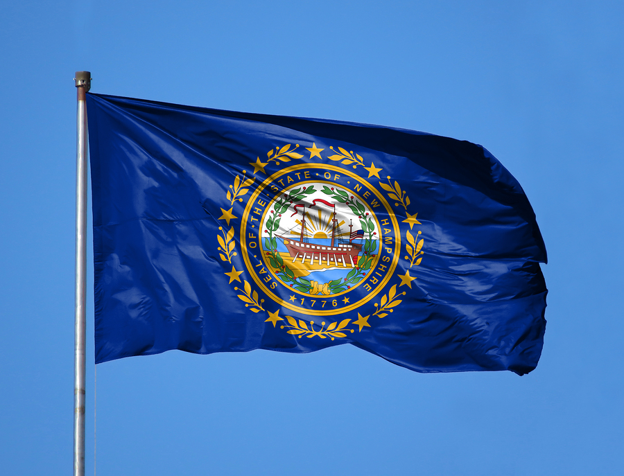 New Hampshire State Flag