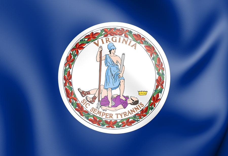 Virginia State Flag