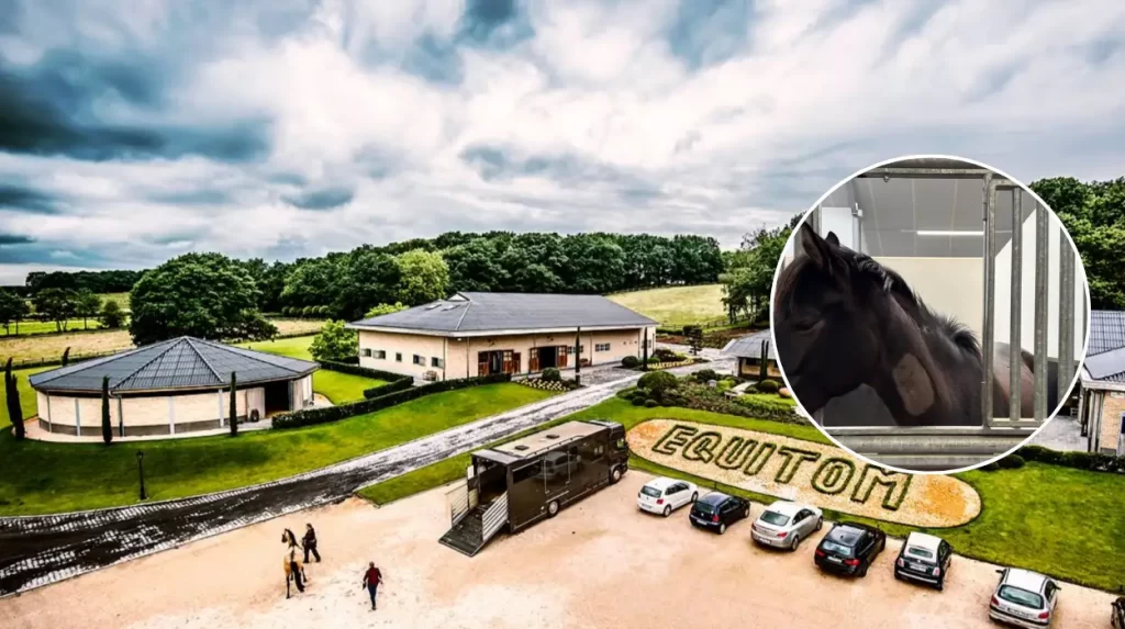 Lummen Equitom uses music to calm 150 horses during fireworks