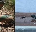 Breaking Drone Attacks Russia Update