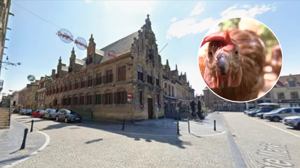 Bird Flu outbreaks in Veurne lead to a merged safety zone