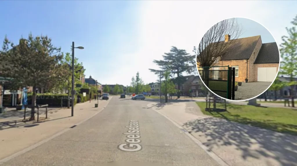 Police uncover large cannabis plantation with 550 plants in Kasterlee