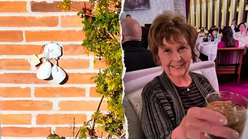 Nancy Guthrie, 84, missing; alleged ransom note mentions floodlight