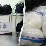 Canada border officials seize 600 pounds methamphetamine from suspect