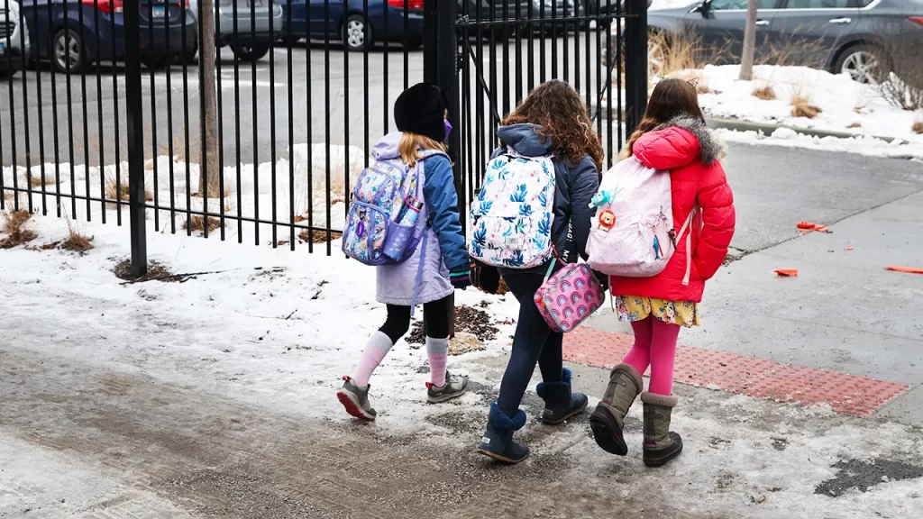 Illinois school district DEI plan includes ‘racial segregation’ training