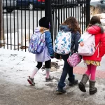 Illinois school district DEI plan includes ‘racial segregation’ training