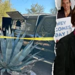 DNA results on glove evidence could be pivotal in Nancy Guthrie case