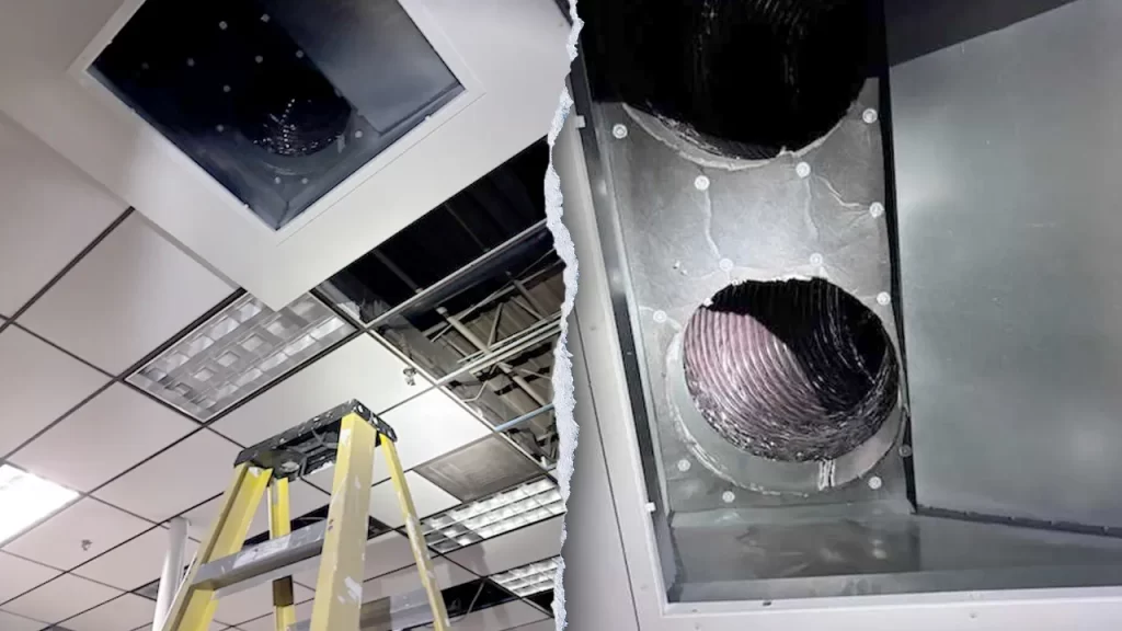 Georgia police dog finds burglary suspect hiding in business air vent