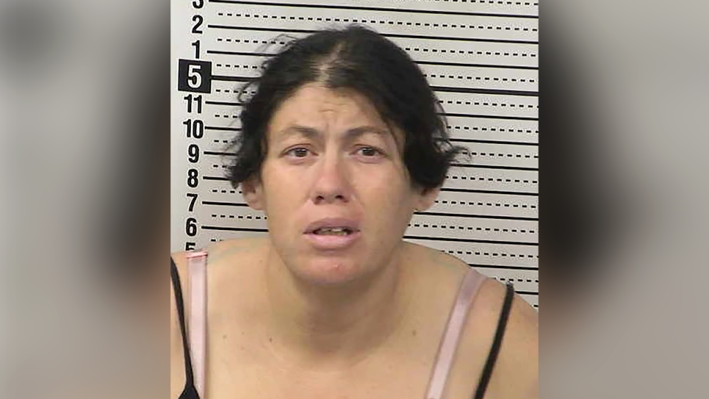 New Mexico woman charged after allegedly drowning newborn in portable toilet