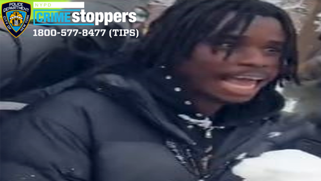 NYPD arrests suspect in Washington Square Park snow attack