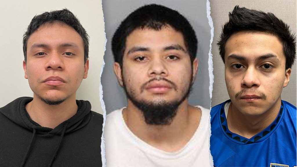 Four MS-13 gang members and undocumented migrants accused of killing a Maryland teenager.