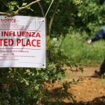 Truck carrying dead bird flu ducks crashes in Indiana, sparks hazmat response