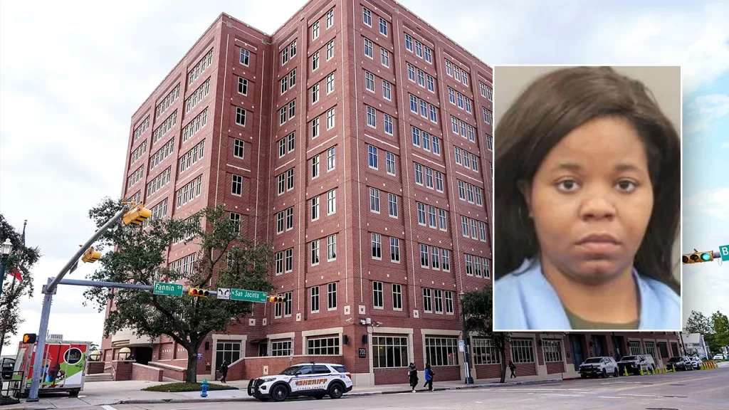 Houston woman with 37 felony theft charges arrested, released on bond