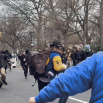 New video shows NYC terror suspect tackled after allegedly throwing bomb at protest
