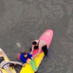 Florida officers use paddleboards to catch suspect who fled into river