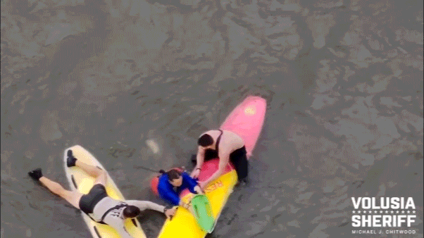 Florida officers use paddleboards to catch suspect who fled into river