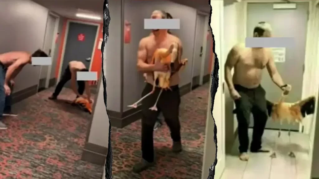 Canadian tourist arrested for stealing flamingo from Las Vegas casino