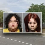 Video shows Florida teens accused of ‘blood ritual’ school plot joke in patrol car