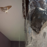 Suspected meteorite crashes through Texas woman’s roof near Houston