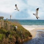 How to Plan a Destination Wedding from Start to Finish