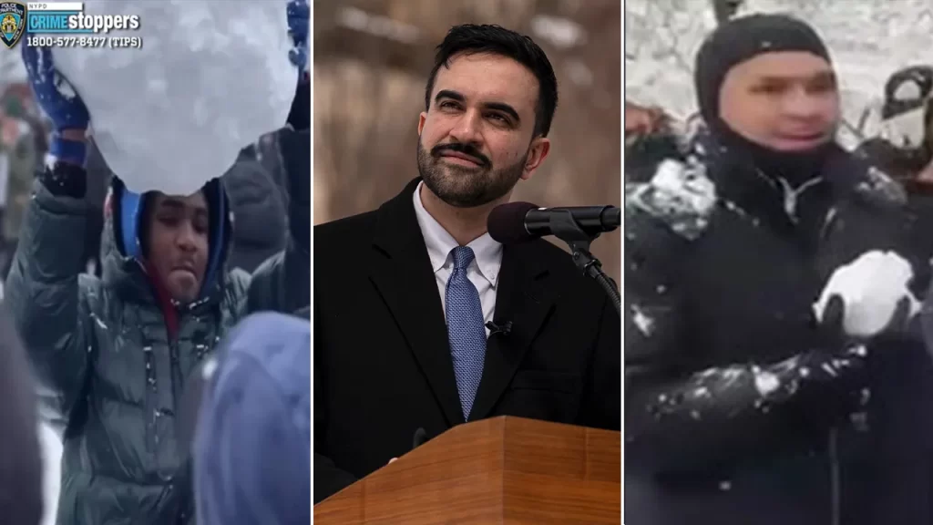 Washington Square Park snowball fight leads to second arrest