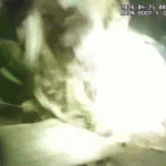 Florida man ditches child in woods while fleeing Daytona Beach police