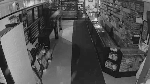 Surveillance video captures thieves stealing $100K from Chicago card shop