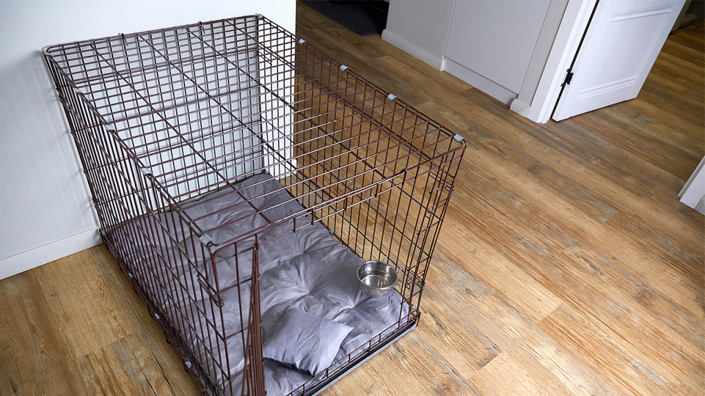 6 children, including 13-year-old kept in dog crate, rescued from ‘filthy’ home