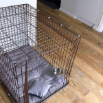 6 children, including 13-year-old kept in dog crate, rescued from ‘filthy’ home