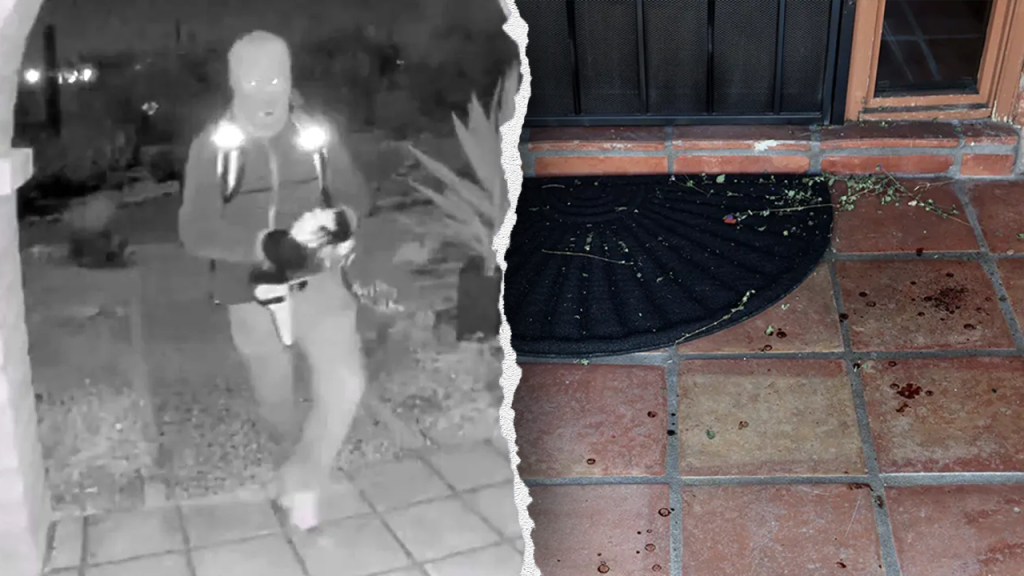 FBI profiler says blood spatter points to single abductor in Nancy Guthrie case