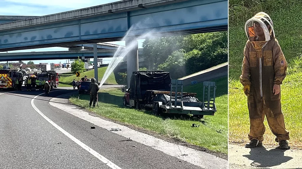 1 million bees swarm Knoxville’s I-40 after truck crash