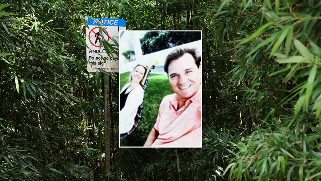 Hawaii doctor testifies about wife’s alleged affair and hidden messages