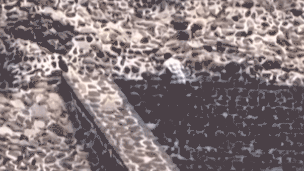 6 Americans injured in shooting at Mexico’s Teotihuacán pyramid complex