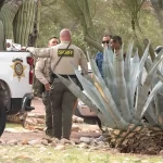 Homicide unit chief rotated out before Savannah Guthrie’s mom vanished