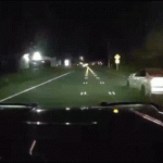 19-time felon arrested after high-speed chase in Olympia, authorities say