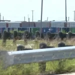Six illegal migrants found dead in Laredo shipping container at Texas railyard
