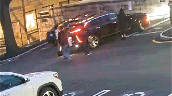 Cornell president claims harassment after allegedly backing car into students