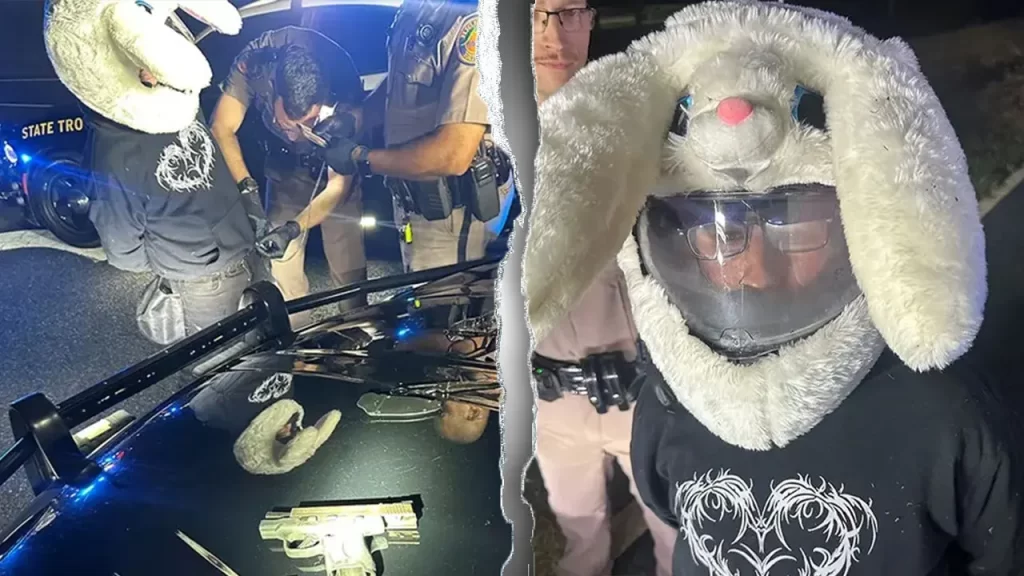 Florida man in bunny helmet accused of leading 120 mph police chase