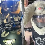 Florida man in bunny helmet accused of leading 120 mph police chase