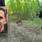 Video shows bloodhound tracking Special Forces shooting suspect Craig Berry