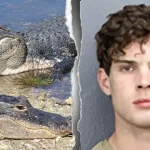 Florida charges influencer Clavicular for alleged Everglades alligator shooting