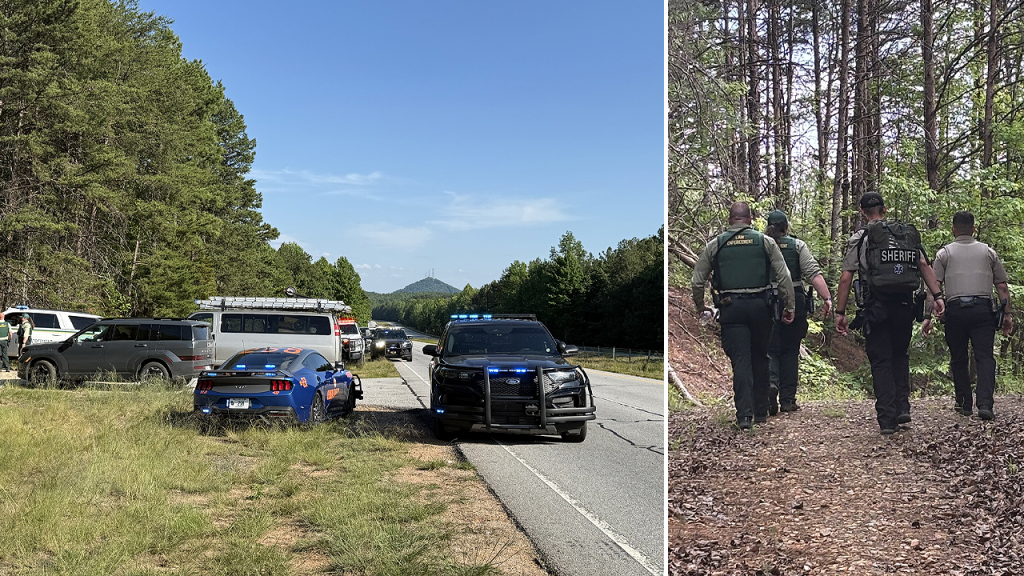 25 illegal immigrants including felons arrested in Georgia forest sweep: police