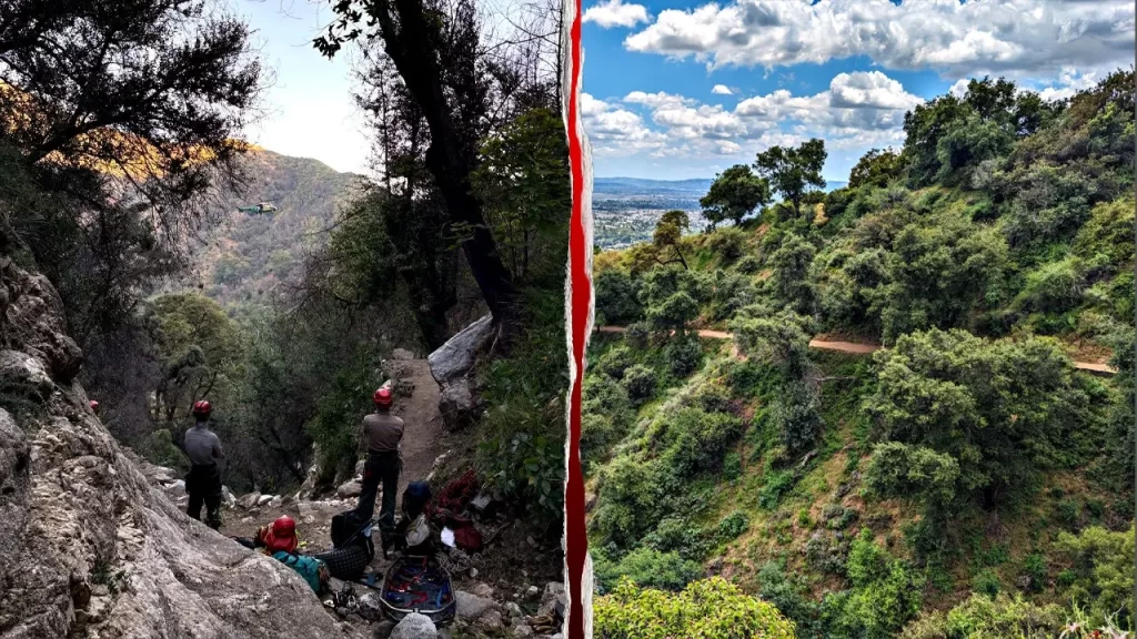 Hiker dies after falling into steep rocky ravine on Mount Wilson Trail