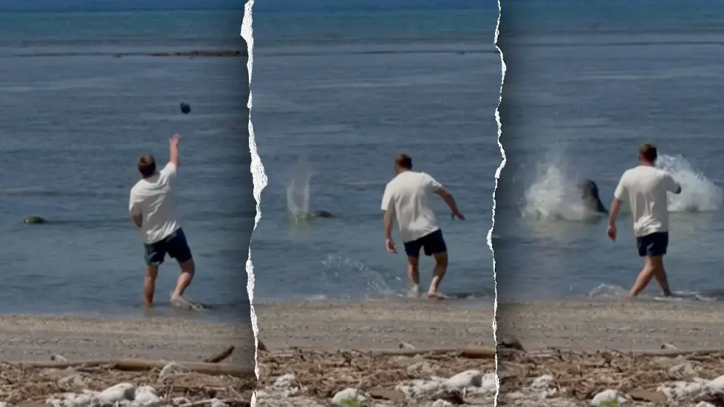 Man who bragged he was ‘rich enough’ faces federal charges for seal attack