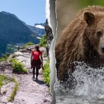 Glacier National Park hiker’s body found in suspected fatal bear attack