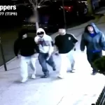 Fox News ‘Antisemitism Exposed’ Newsletter: Haters caught on video