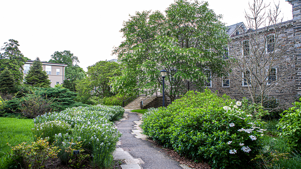 Swarthmore College removes professor’s name over burial site scandal