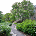 Swarthmore College removes professor’s name over burial site scandal